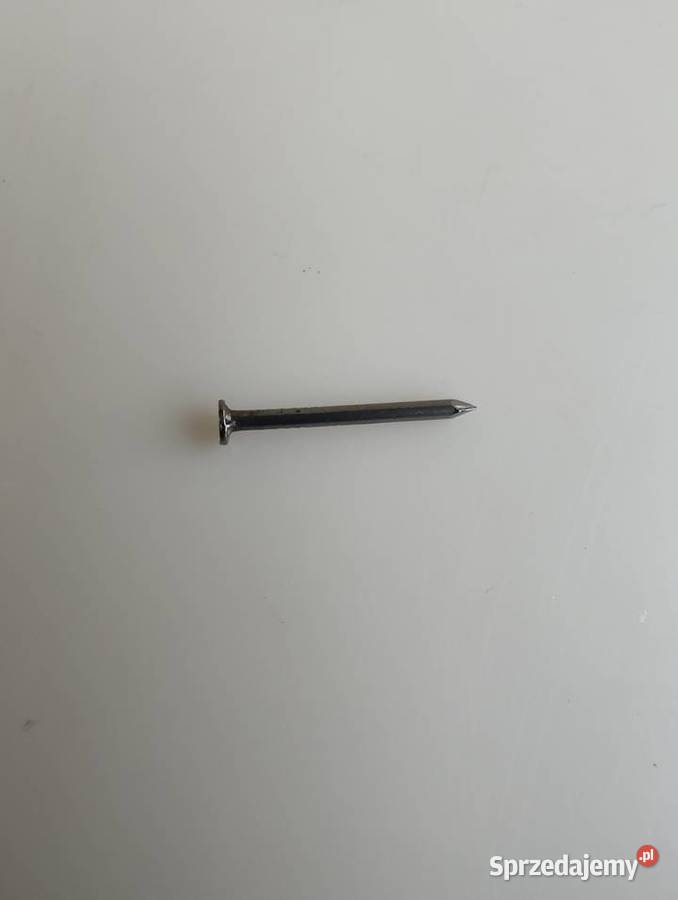 Gwoździe gwoździki 20 x 12 mm sztuk 12 Olecko
