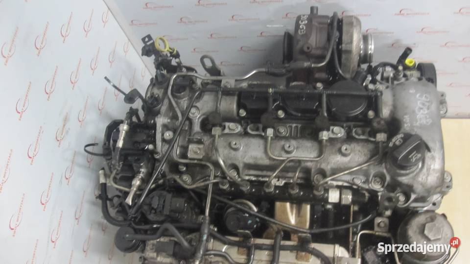 ANTARA CAPTIVA 12r 22 CDTI VCDI Z22D1 163 Silnik Kielce