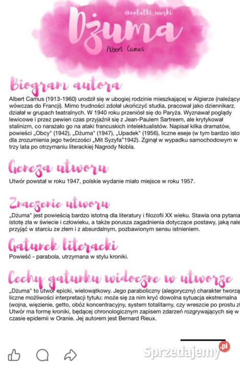 Notatki do matury z języka polskiego Warszawa