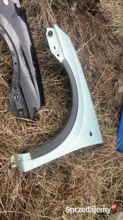 Blotnik lewy opel corsa c zielony osobowe wielkopolskie Margonin