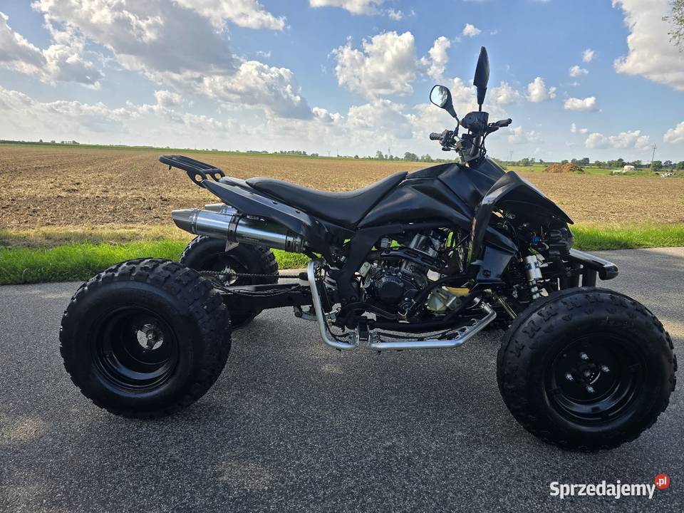 Quad Egl Jinling 250cc Ciecz 41 duża rama kat b Motoryzacja kujawsko-pomorskie Kruszwica
