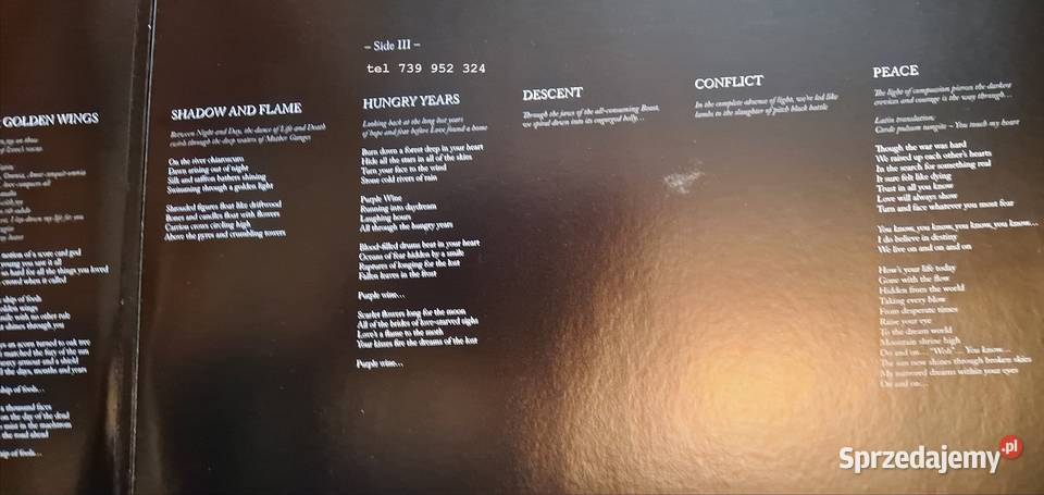 3 album Steve Hackett Wolflight 2LPCD płyta winylowa Płyty i kasety Warszawa