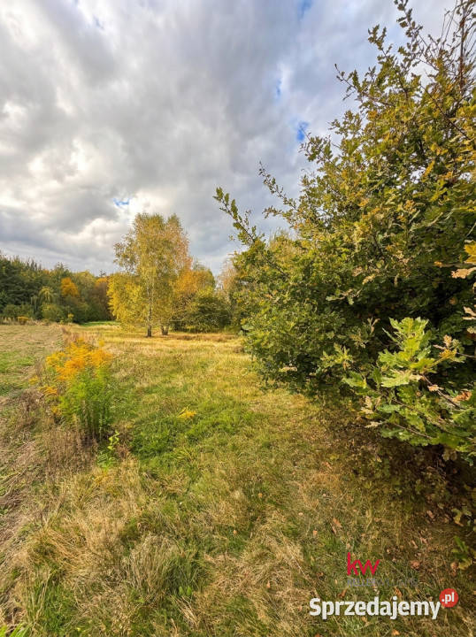 Ogłoszenie grunt Orzesze Wyzwolenia 3572m2 3572m2 śląskie
