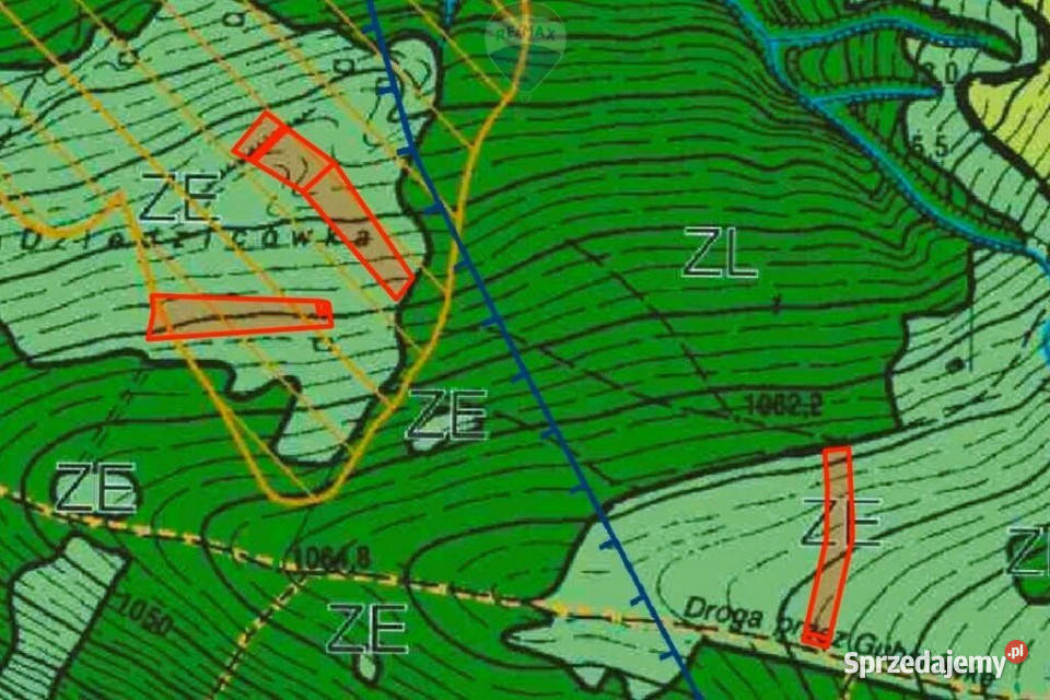 Działki Rolne Sprzedaż Dzianisz