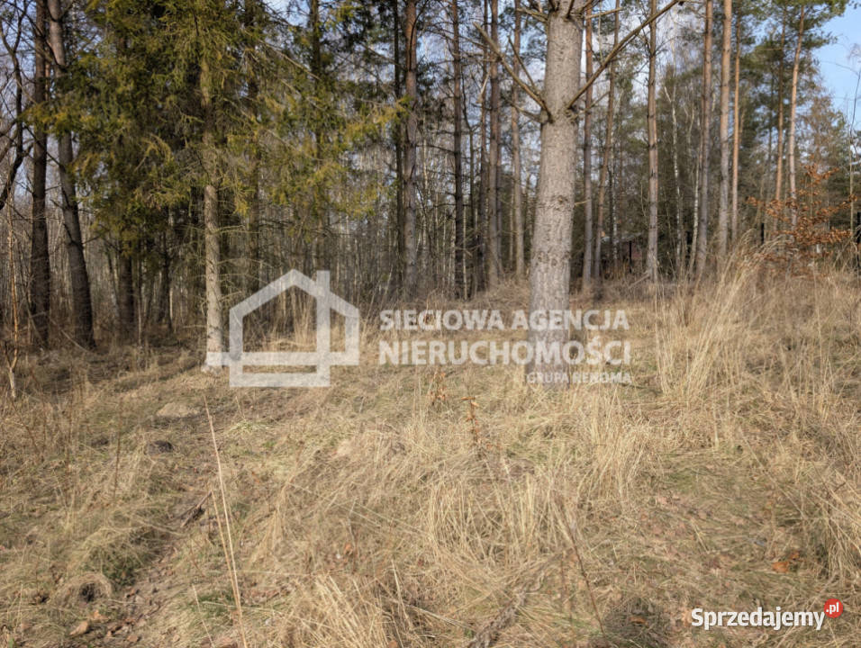 Grunt do sprzedania Otomin 1500m2