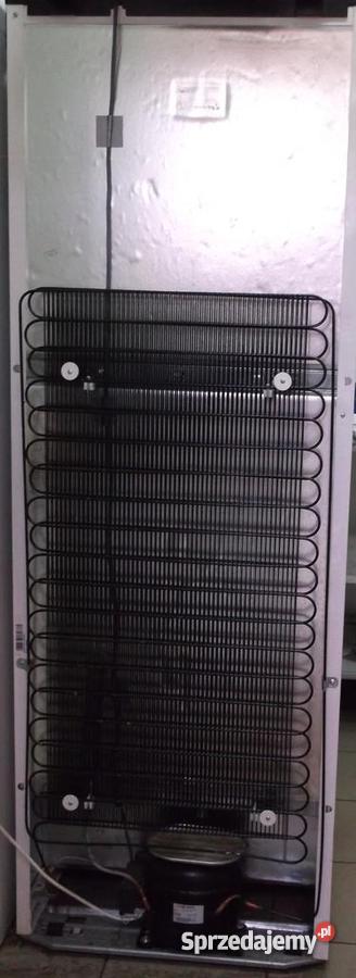 Witryna chłodnicza WHIRLPOOL ADN 203 WP Ostrów Wielkopolski