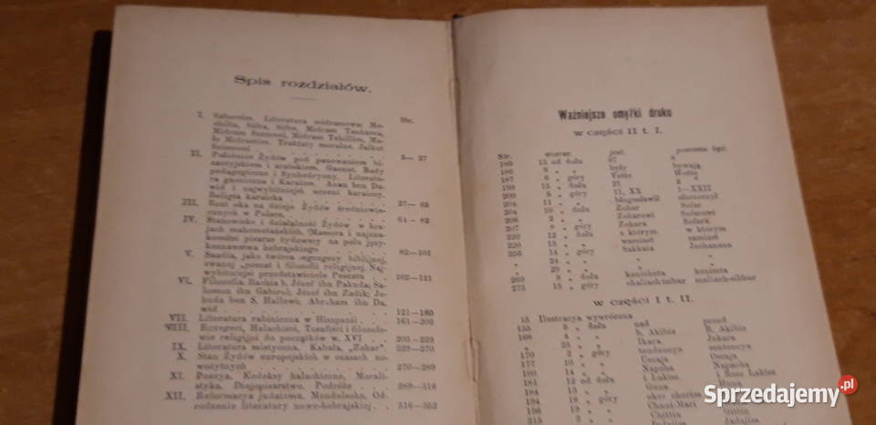 HISTORYA LITERATURY ŻYDOWSKIEJ14 ŚWIĘCICKI1902 Iwno sprzedam