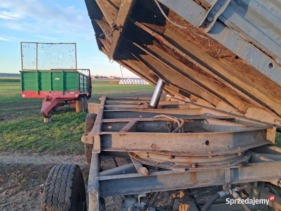 Przyczepa D47 zarejestrowana Szumowo