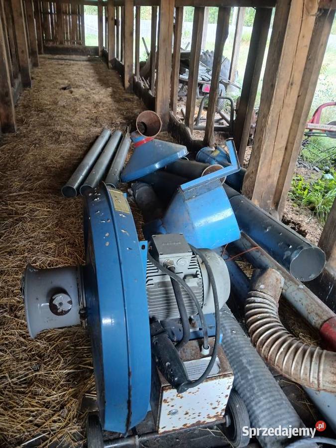 dmuchawa żmijka Sławatycze