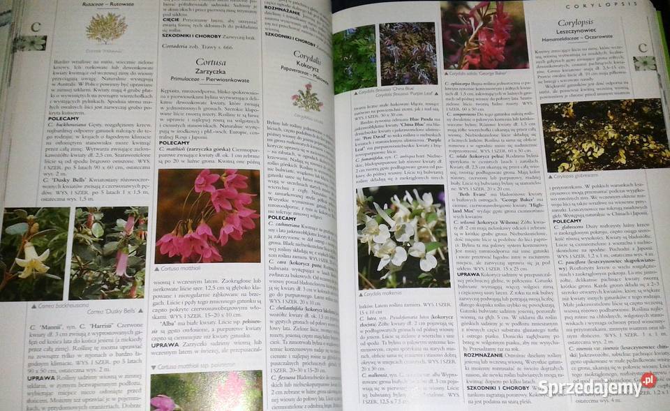 Wielka ilustrowana encyklopedia roślin lubelskie Chełm