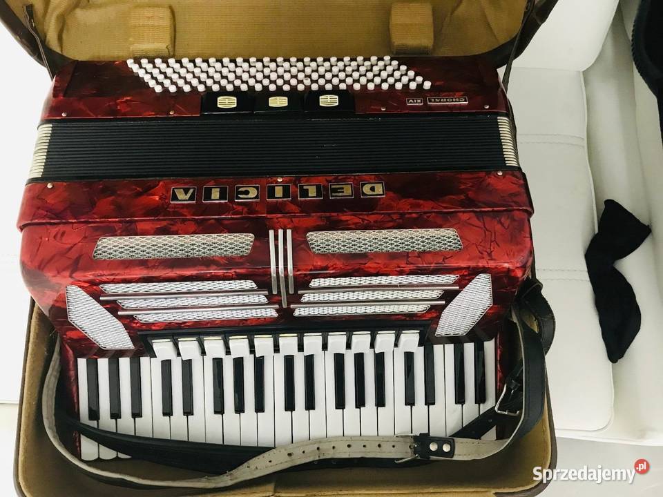 Akordeon Delicja Choral VI 120 basów super stan Kultura i Rozrywka