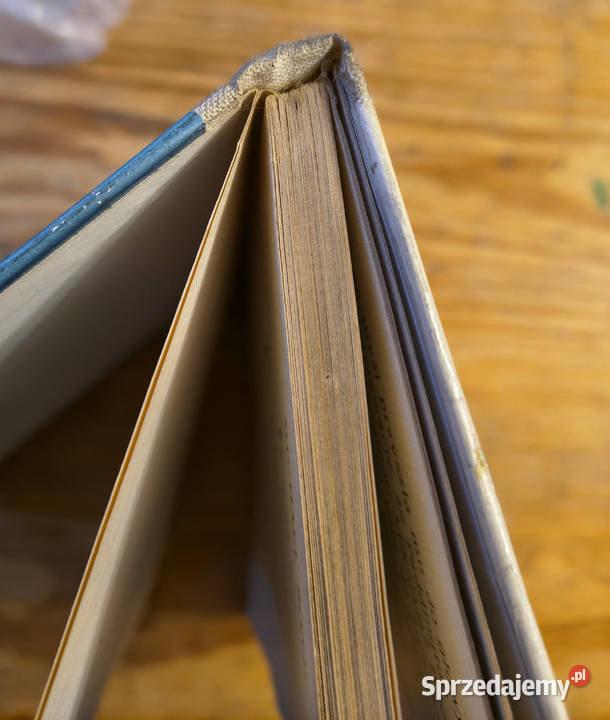 Jeszcze o Paddingtonie Michael Bond śląskie Sosnowiec