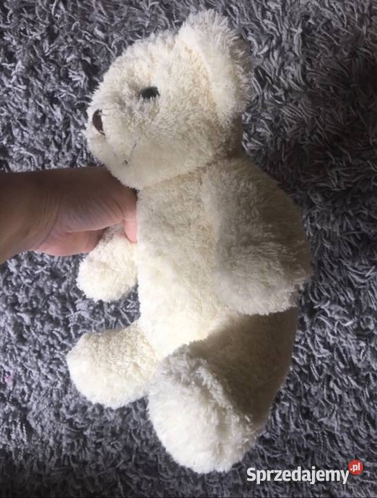Pluszowy miś 0+ wielkopolskie Kłodawa sprzedam