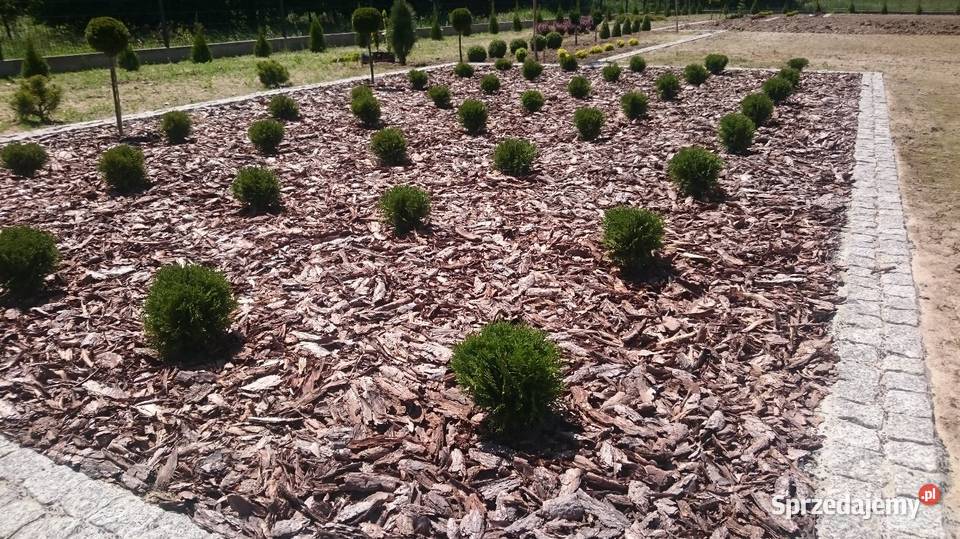 Kora sosnowa ozdobna dekoracyjna ogrodowa Kora małopolskie Brzesko