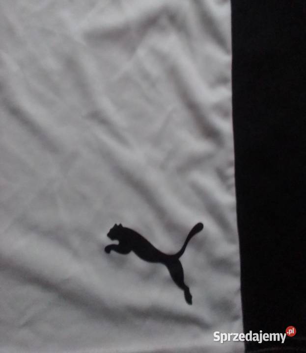 Spodenki Puma Odzież sportowa Rudka Gołębska sprzedam