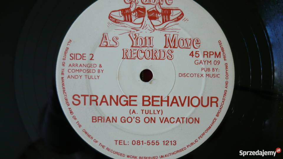 Płyta Strange Behaviour A Tully Myszków