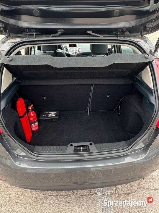 Ford Fiesta Mk7 125 Duratec 1 rej2013 Salon