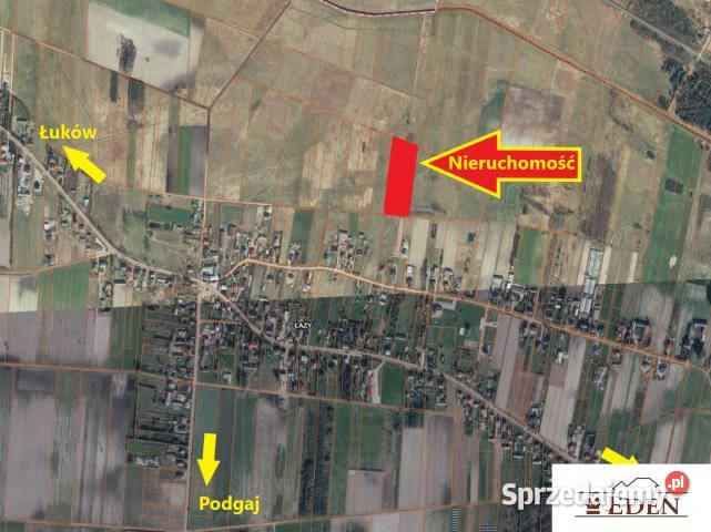 Grunt Smolanka 11600m2 27m Łazy sprzedam
