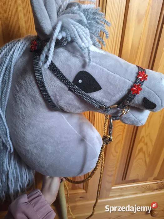 Hobby horsstan idealny Połajewo