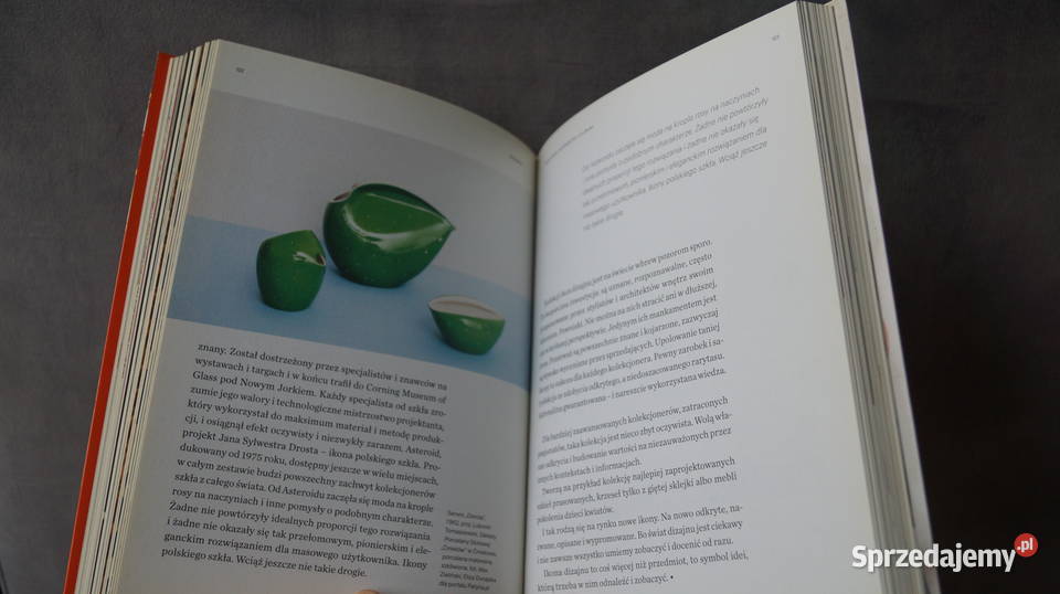 Zacznij kochać dizajn Beata Bochińska Mrowino