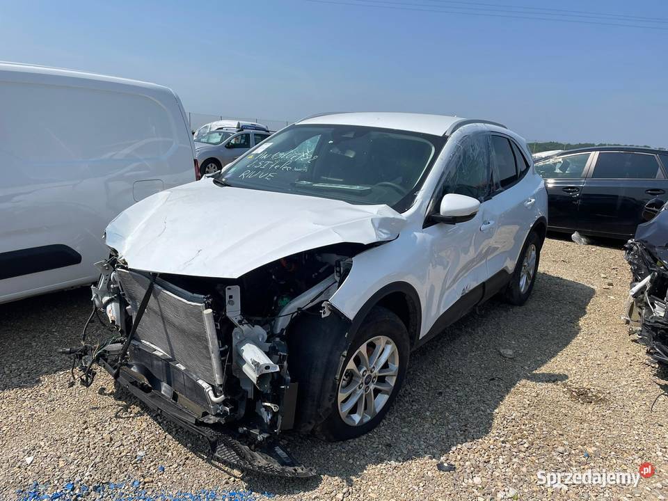 FORD Kuga 25 Duratec 190 FHEV E85 eCVT Titanium pomorskie Gdańsk sprzedam