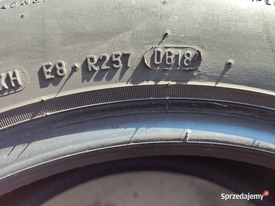 1756514 opony letnie pirelli 4 sztuki kujawsko-pomorskie Lipno
