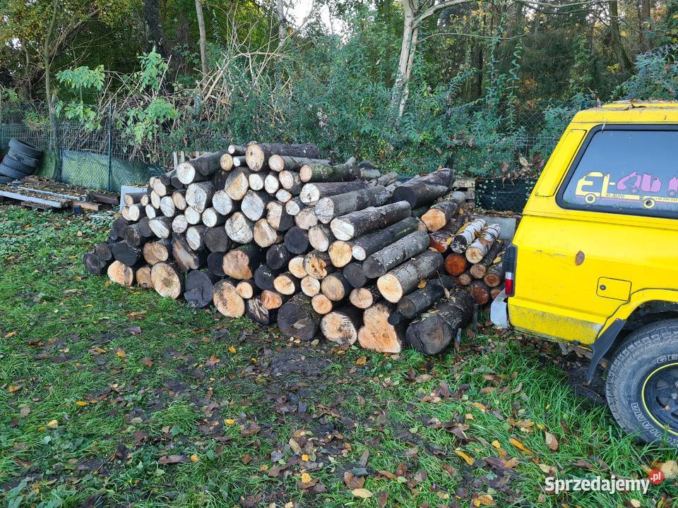 Drewno na opał brzoza olcha lipa czeremcha Wrocław