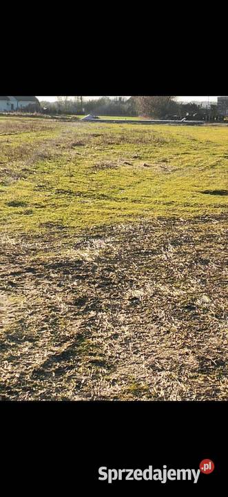 Działki budowlane Wschowa sprzedam