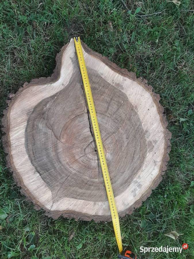 Plaster Orzecha Włoskiego 7075 Gruby 8 Na Stolik