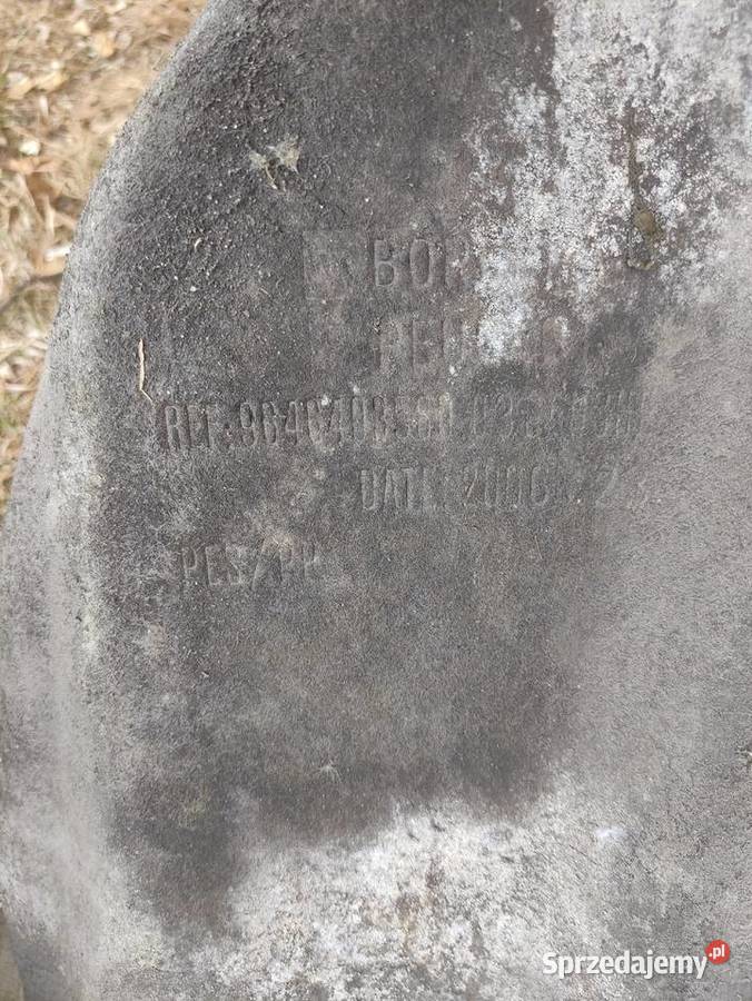 Nadkola tylne Lewe prawe Peugeot 1007 wielkopolskie Rawicz