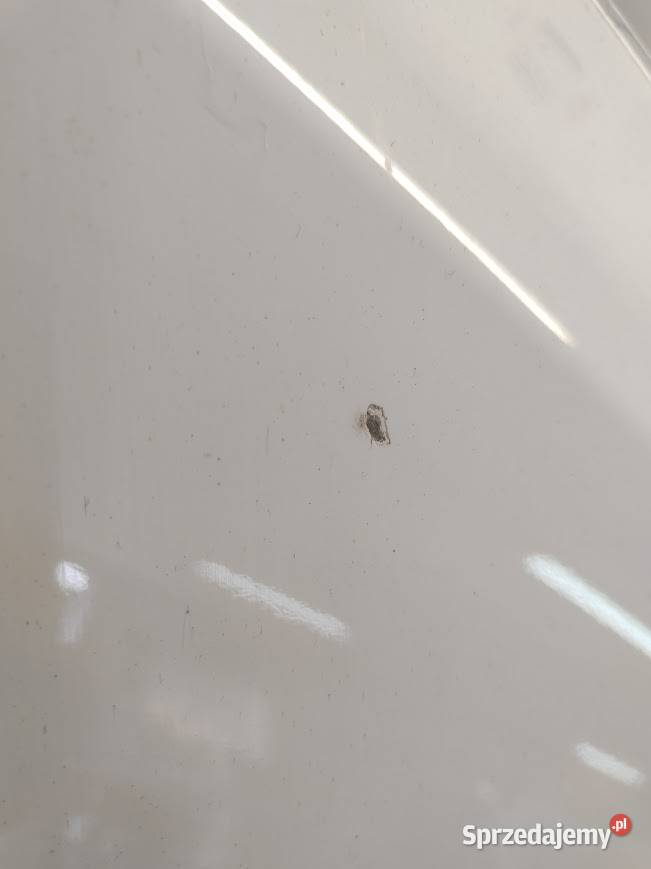 Drzwi Lewy Tył Tylne Lewe Kia X Ceed 2019 osobowe wielkopolskie Pleszew sprzedam
