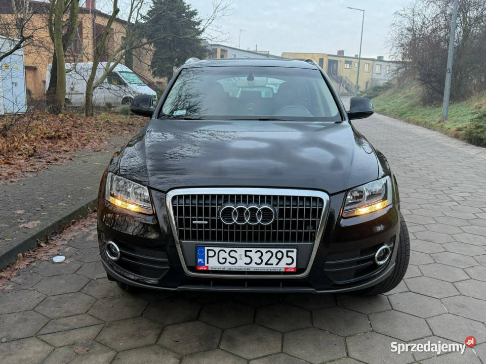Audi Q5 Audi Q5 20TDI 140 QUATTRO Klimatronic 8R Gostyń