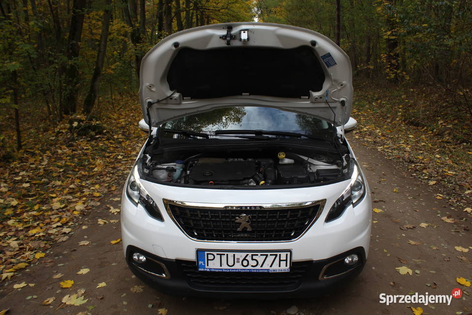 Peugeot 2008 15 HDI 2019 LED NAVI Słodków-Kolonia