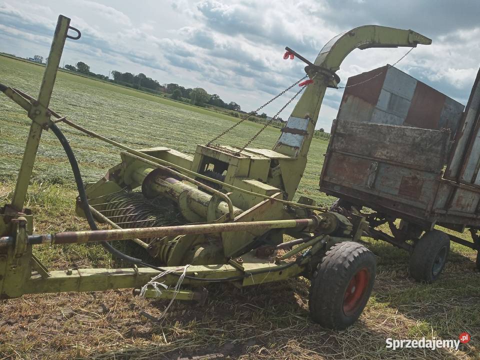 Sieczkarnia Claas jaguar Janków