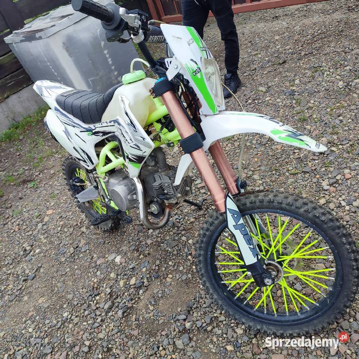 CROSS BERRETA SPORT 125 DO wielkopolskie Września