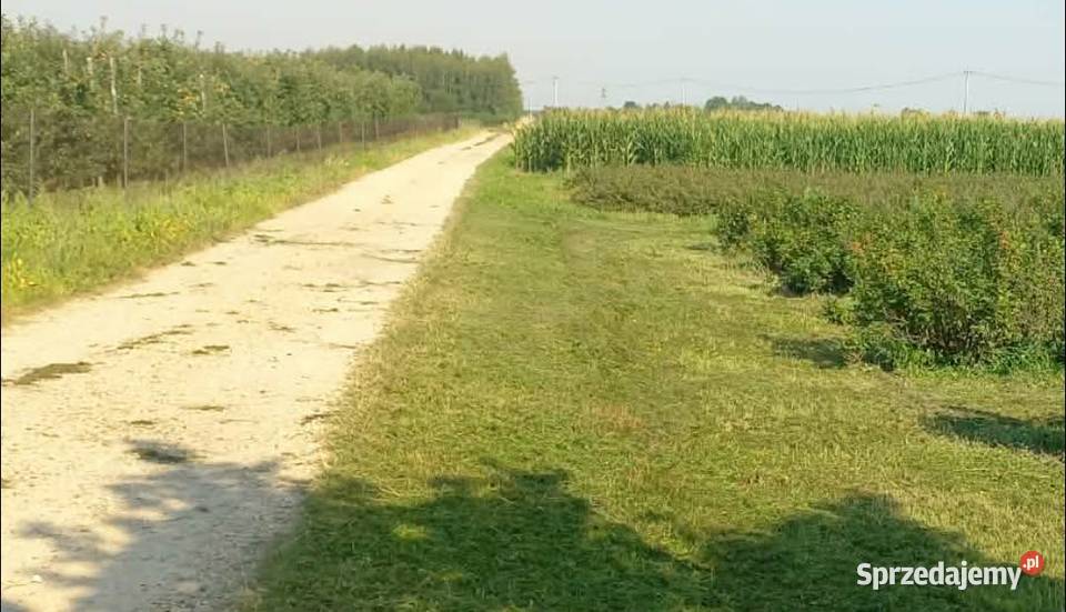 Działka Opole Lubelskie