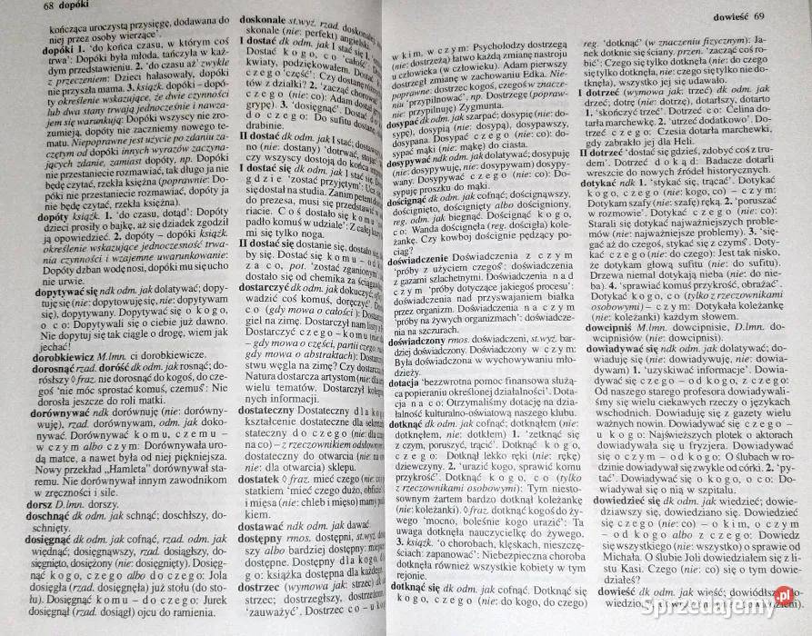 Praktyczny słownik poprawnej polszczyzny A Rok wydania 1996 Chełm sprzedam