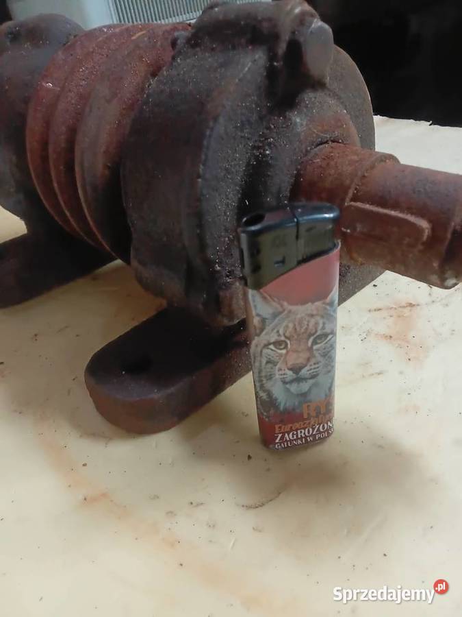 Wałek z szajba masywny Milejewo