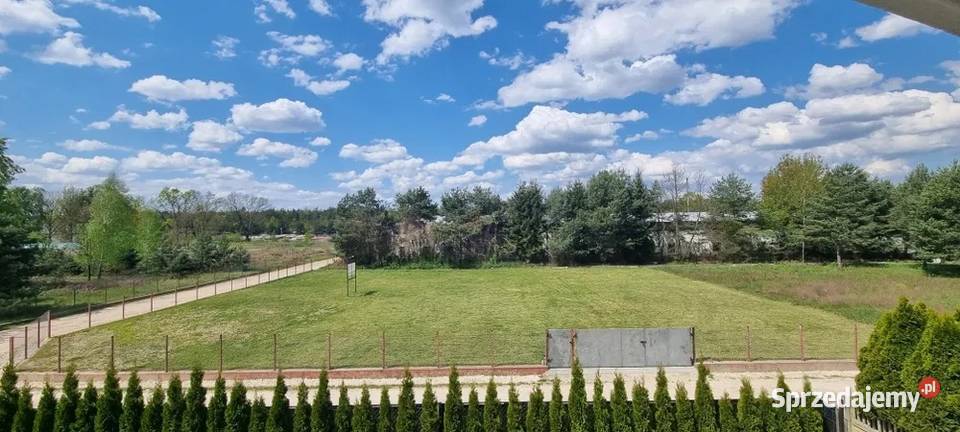 Wynajmę plac 16003200m2Sulejówek Sulejówek