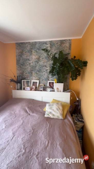 3pok 64met Piekary A BALKONPIWNICAWINDA Legnica sieć Mieszkania