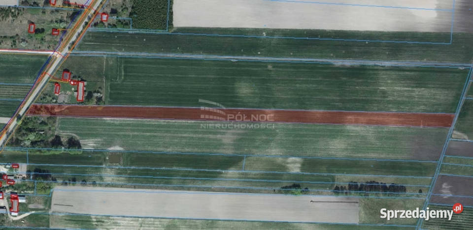 Działka 145ha z możliwością zabudowy Kolembrody Sprzedaż