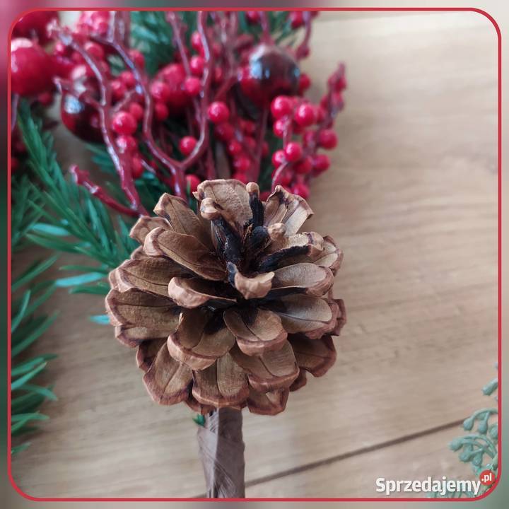 Gałązka bawełny dekoracyjna ostrokrzew zachodniopomorskie