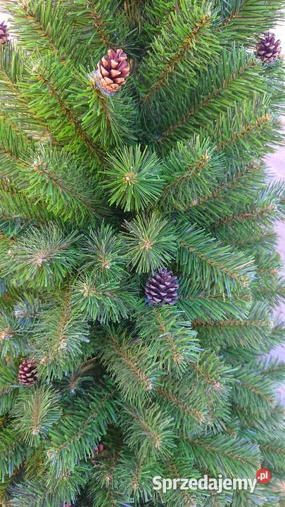 Choinka w donicy TUJA Wąska 160 NOWOŚĆ Dekoracje i ozdoby Gniazdów
