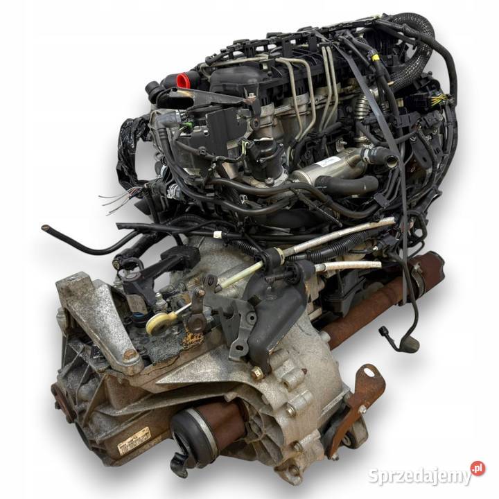 SILNIK KOMPLETNY G8DD Ford Focus II MK2 C C 16 Silniki i osprzęt Chełm
