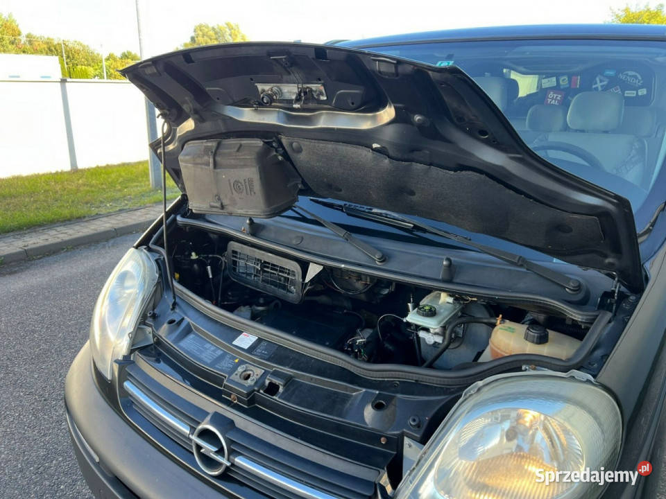 Opel Vivaro Opel Vivaro LONG Gostynin sprzedam
