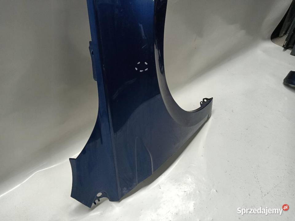 BŁOTNIK PRAWY PRZÓD PRZEDNI VW POLO 6 2G0821106 wielkopolskie
