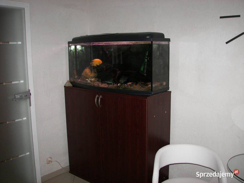 Akwarium z szafką i pompą filtrującą Ryby łódzkie Radomsko