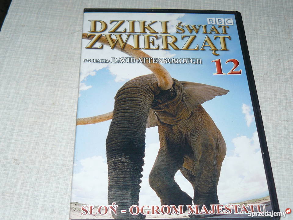 Płyty DvD świat zwierząt na jesienne wieczory Nowa Sól sprzedam