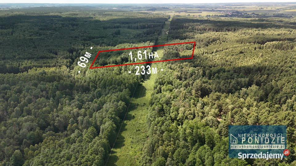 Działka leśna 161 ha Wólka Bosowska