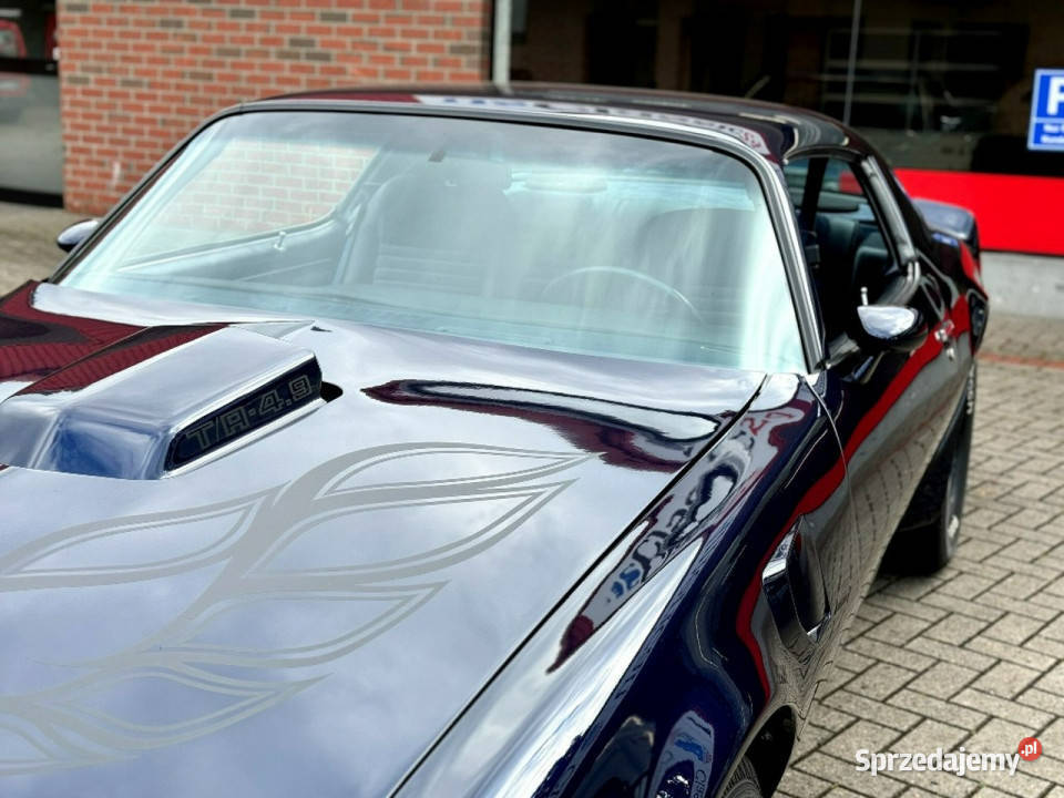 Pontiac Firebird Trans Am MIDNIGHT BLUE 1981 do